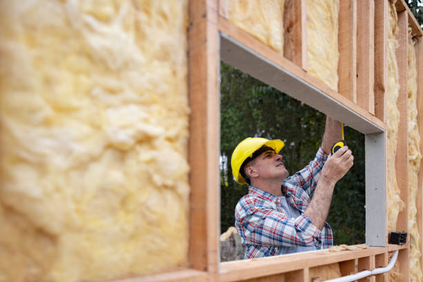 Best Basement Insulation  in Shenandoah, VA